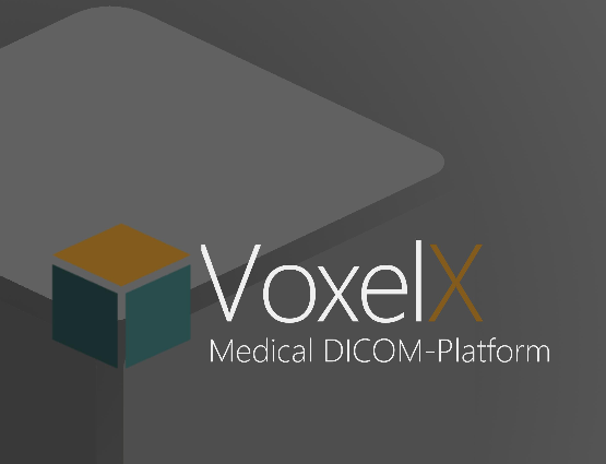 VoxelX ICO