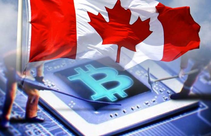 Canada-based Mining Geek Revolts Cloud Mining Market